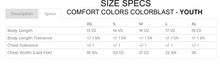 Load image into Gallery viewer, 2025 GREATWOOD GEYSERS - COLORBLAST T-SHIRT