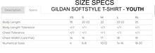 Load image into Gallery viewer, 2025 GREATWOOD GEYSERS - HEATHER GREY SOFTSTYLE TEE
